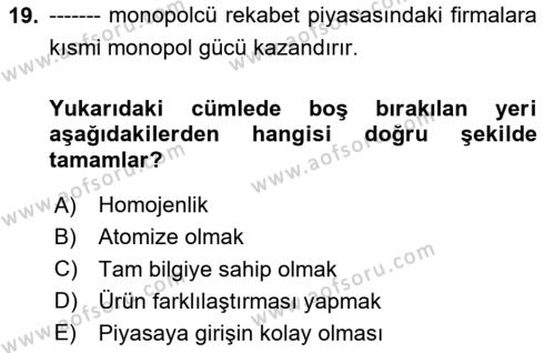 İktisada Giriş 1 Dersi 2023 - 2024 Yılı Yaz Okulu Sınavı 19. Soru