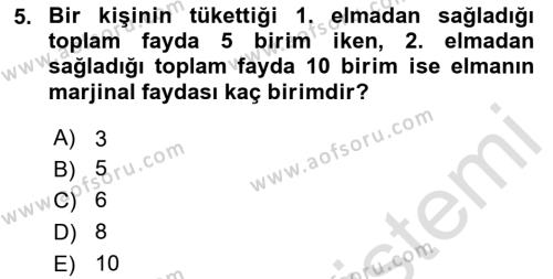 İktisada Giriş 1 Dersi 2023 - 2024 Yılı Yaz Okulu Sınavı 5. Soru