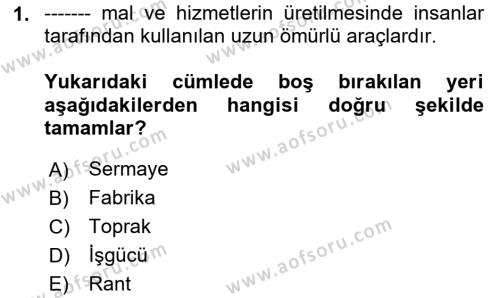 İktisada Giriş 1 Dersi 2024 - 2025 Yılı (Vize) Ara Sınavı 1. Soru