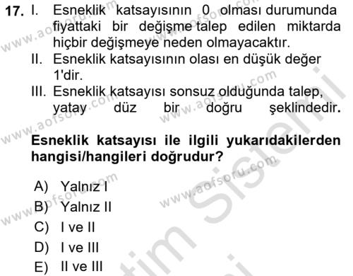 İktisada Giriş 1 Dersi 2024 - 2025 Yılı (Vize) Ara Sınavı 17. Soru