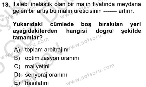 İktisada Giriş 1 Dersi 2024 - 2025 Yılı (Vize) Ara Sınavı 18. Soru