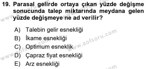 İktisada Giriş 1 Dersi 2024 - 2025 Yılı (Vize) Ara Sınavı 19. Soru