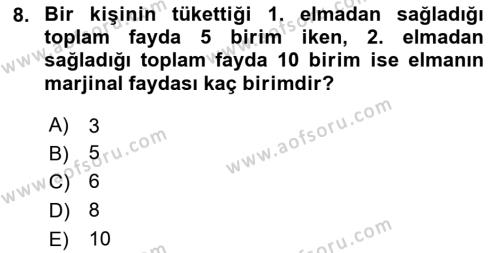 İktisada Giriş 1 Dersi 2024 - 2025 Yılı (Vize) Ara Sınavı 8. Soru