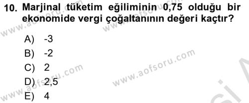 İktisada Giriş 2 Dersi 2023 - 2024 Yılı (Vize) Ara Sınavı 10. Soru