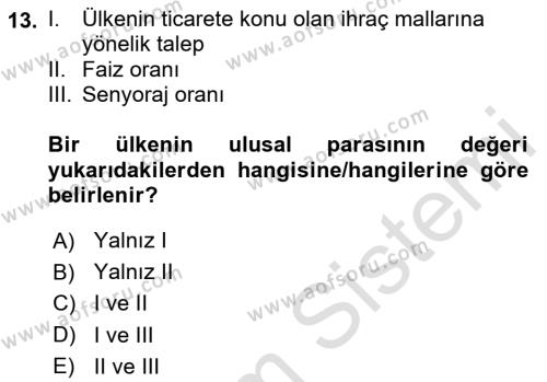 İktisada Giriş 2 Dersi 2023 - 2024 Yılı (Final) Dönem Sonu Sınavı 13. Soru