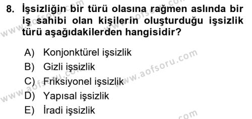 İktisada Giriş 2 Dersi 2023 - 2024 Yılı (Final) Dönem Sonu Sınavı 8. Soru