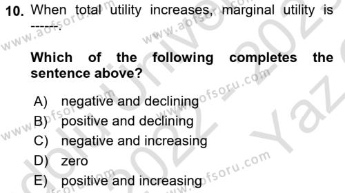 Introduction to Economics 1 Dersi 2022 - 2023 Yılı Yaz Okulu Sınavı 10. Soru