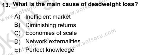 Introduction to Economics 1 Dersi 2022 - 2023 Yılı Yaz Okulu Sınavı 13. Soru