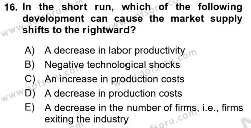 Introduction to Economics 1 Dersi 2022 - 2023 Yılı Yaz Okulu Sınavı 16. Soru