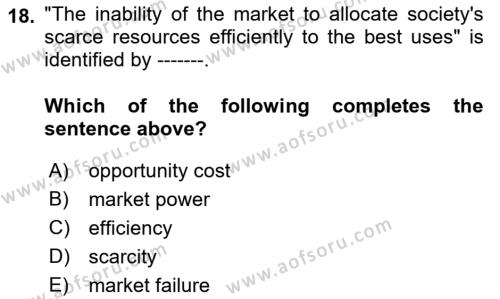 Introduction to Economics 1 Dersi 2022 - 2023 Yılı Yaz Okulu Sınavı 18. Soru