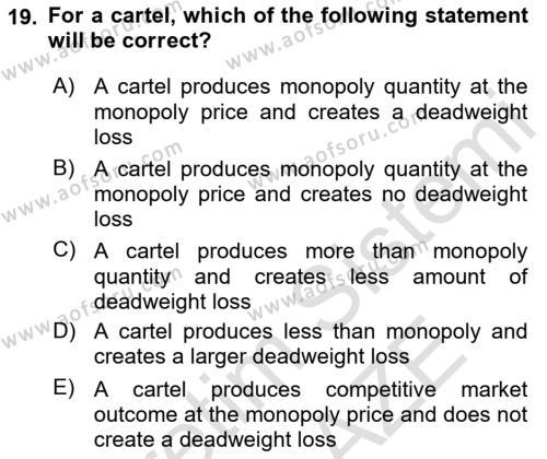 Introduction to Economics 1 Dersi 2022 - 2023 Yılı Yaz Okulu Sınavı 19. Soru