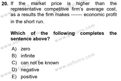 Introduction to Economics 1 Dersi 2022 - 2023 Yılı Yaz Okulu Sınavı 20. Soru