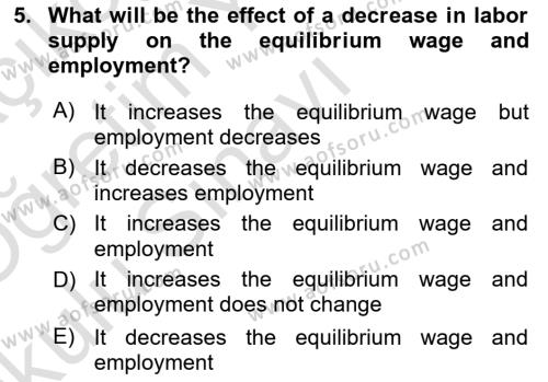 Introduction to Economics 1 Dersi 2022 - 2023 Yılı Yaz Okulu Sınavı 5. Soru