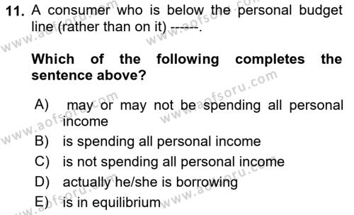 Introduction to Economics 1 Dersi 2023 - 2024 Yılı (Vize) Ara Sınavı 11. Soru