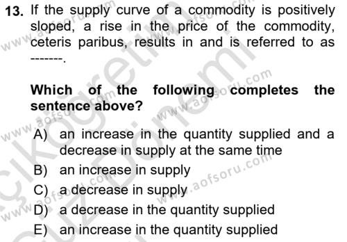 Introduction to Economics 1 Dersi 2023 - 2024 Yılı (Vize) Ara Sınavı 13. Soru