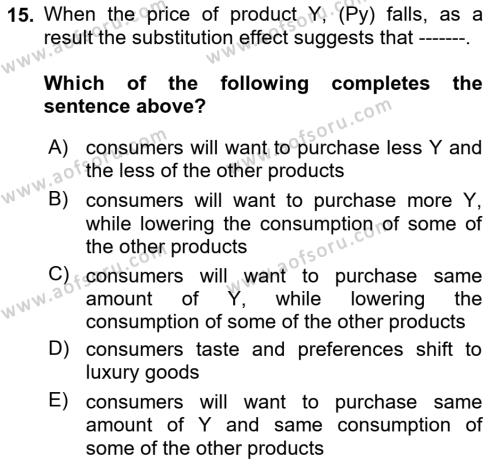 Introduction to Economics 1 Dersi 2023 - 2024 Yılı (Vize) Ara Sınavı 15. Soru