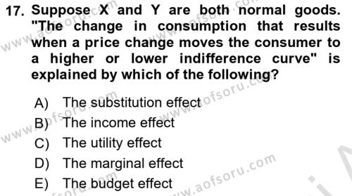 Introduction to Economics 1 Dersi 2023 - 2024 Yılı (Vize) Ara Sınavı 17. Soru
