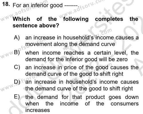 Introduction to Economics 1 Dersi 2023 - 2024 Yılı (Vize) Ara Sınavı 18. Soru