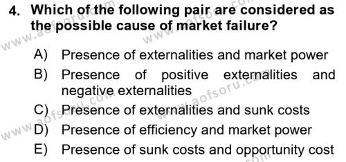 Introduction to Economics 1 Dersi 2023 - 2024 Yılı (Vize) Ara Sınavı 4. Soru