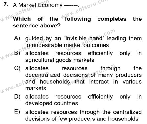 Introduction to Economics 1 Dersi 2023 - 2024 Yılı (Vize) Ara Sınavı 7. Soru