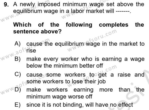 Introduction to Economics 1 Dersi 2023 - 2024 Yılı (Vize) Ara Sınavı 9. Soru