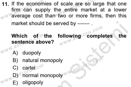 Introduction to Economics 1 Dersi 2023 - 2024 Yılı (Final) Dönem Sonu Sınavı 11. Soru