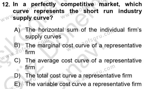 Introduction to Economics 1 Dersi 2023 - 2024 Yılı (Final) Dönem Sonu Sınavı 12. Soru