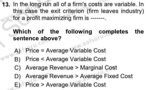 Introduction to Economics 1 Dersi 2023 - 2024 Yılı (Final) Dönem Sonu Sınavı 13. Soru