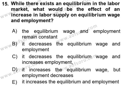 Introduction to Economics 1 Dersi 2023 - 2024 Yılı (Final) Dönem Sonu Sınavı 15. Soru