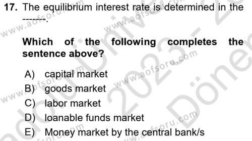 Introduction to Economics 1 Dersi 2023 - 2024 Yılı (Final) Dönem Sonu Sınavı 17. Soru