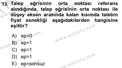 Spor Ekonomisi Dersi 2023 - 2024 Yılı (Vize) Ara Sınavı 13. Soru