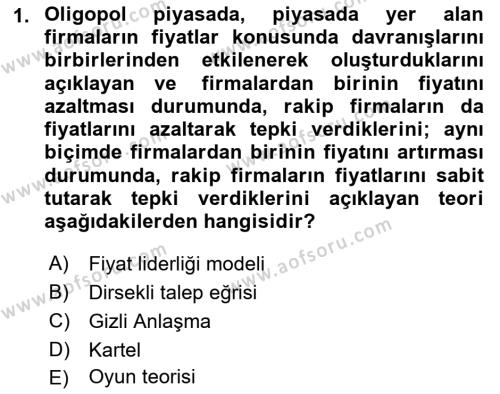 Spor Ekonomisi Dersi 2023 - 2024 Yılı (Final) Dönem Sonu Sınavı 1. Soru