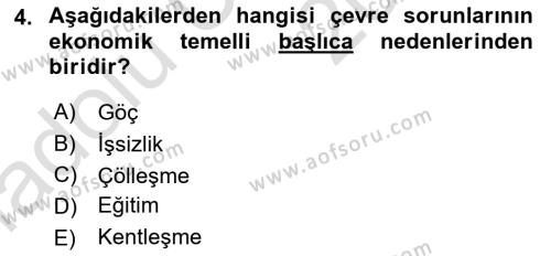 Doğal Kaynaklar ve Çevre Ekonomisi Dersi 2018 - 2019 Yılı 3 Ders Sınavı 4. Soru