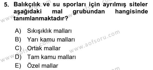 Doğal Kaynaklar ve Çevre Ekonomisi Dersi 2018 - 2019 Yılı 3 Ders Sınavı 5. Soru