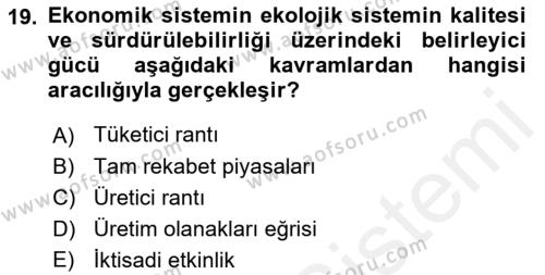 Doğal Kaynaklar ve Çevre Ekonomisi Dersi 2018 - 2019 Yılı (Vize) Ara Sınavı 19. Soru