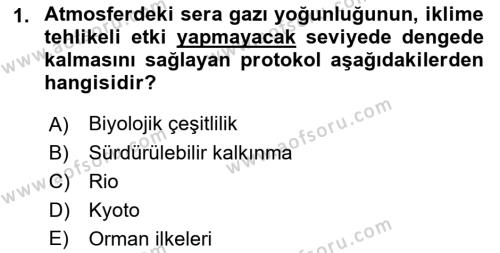 Doğal Kaynaklar ve Çevre Ekonomisi Dersi 2018 - 2019 Yılı Yaz Okulu Sınavı 1. Soru