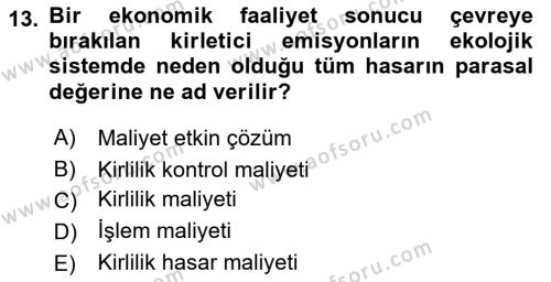 Doğal Kaynaklar ve Çevre Ekonomisi Dersi 2018 - 2019 Yılı Yaz Okulu Sınavı 13. Soru