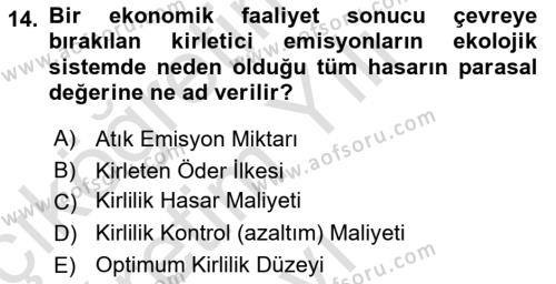 Doğal Kaynaklar ve Çevre Ekonomisi Dersi 2020 - 2021 Yılı Yaz Okulu Sınavı 14. Soru