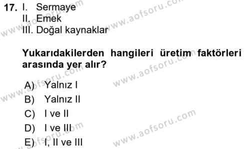 Doğal Kaynaklar ve Çevre Ekonomisi Dersi 2020 - 2021 Yılı Yaz Okulu Sınavı 17. Soru