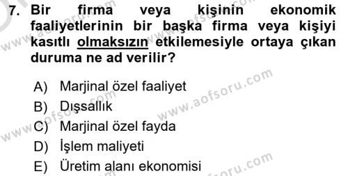 Doğal Kaynaklar ve Çevre Ekonomisi Dersi 2020 - 2021 Yılı Yaz Okulu Sınavı 7. Soru