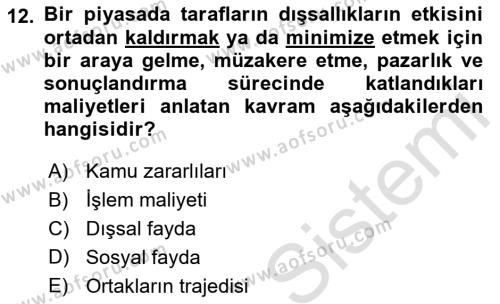 Doğal Kaynaklar ve Çevre Ekonomisi Dersi 2021 - 2022 Yılı (Vize) Ara Sınavı 12. Soru