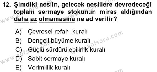 Doğal Kaynaklar ve Çevre Ekonomisi Dersi 2021 - 2022 Yılı (Final) Dönem Sonu Sınavı 12. Soru