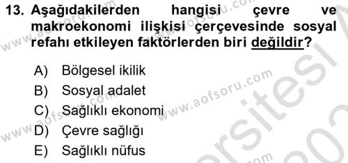 Doğal Kaynaklar ve Çevre Ekonomisi Dersi 2021 - 2022 Yılı (Final) Dönem Sonu Sınavı 13. Soru