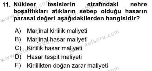 Doğal Kaynaklar ve Çevre Ekonomisi Dersi 2022 - 2023 Yılı Yaz Okulu Sınavı 11. Soru