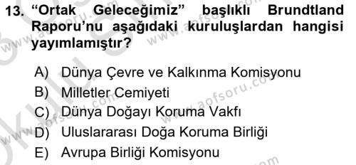 Doğal Kaynaklar ve Çevre Ekonomisi Dersi 2022 - 2023 Yılı Yaz Okulu Sınavı 13. Soru