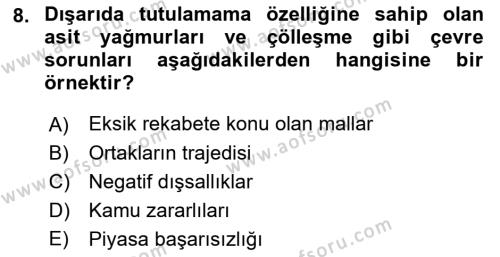 Doğal Kaynaklar ve Çevre Ekonomisi Dersi 2022 - 2023 Yılı Yaz Okulu Sınavı 8. Soru