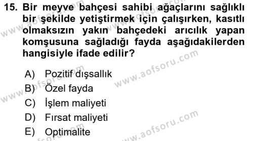 Doğal Kaynaklar ve Çevre Ekonomisi Dersi 2023 - 2024 Yılı (Vize) Ara Sınavı 15. Soru