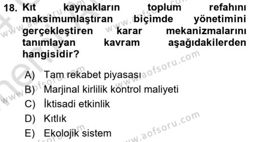 Doğal Kaynaklar ve Çevre Ekonomisi Dersi 2023 - 2024 Yılı (Vize) Ara Sınavı 18. Soru