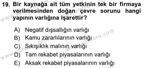 Doğal Kaynaklar ve Çevre Ekonomisi Dersi 2023 - 2024 Yılı (Vize) Ara Sınavı 19. Soru