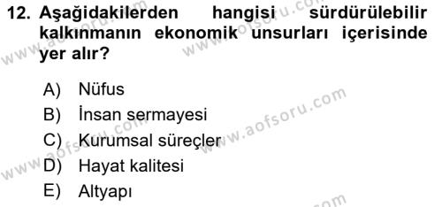 Doğal Kaynaklar ve Çevre Ekonomisi Dersi 2023 - 2024 Yılı Yaz Okulu Sınavı 12. Soru